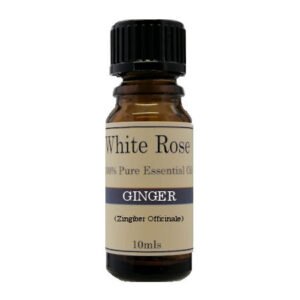 Ginger Essential Oil 10ml 100% Pure